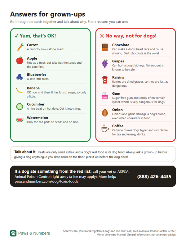 Sorting game page 2: answers and short explanations for grown-ups